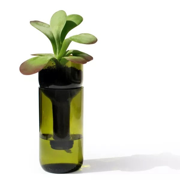 Pflanzgefäß selbstbewässernd - self watering bottle