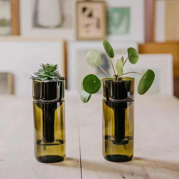 Pflanzgefäß selbstbewässernd - self watering bottle