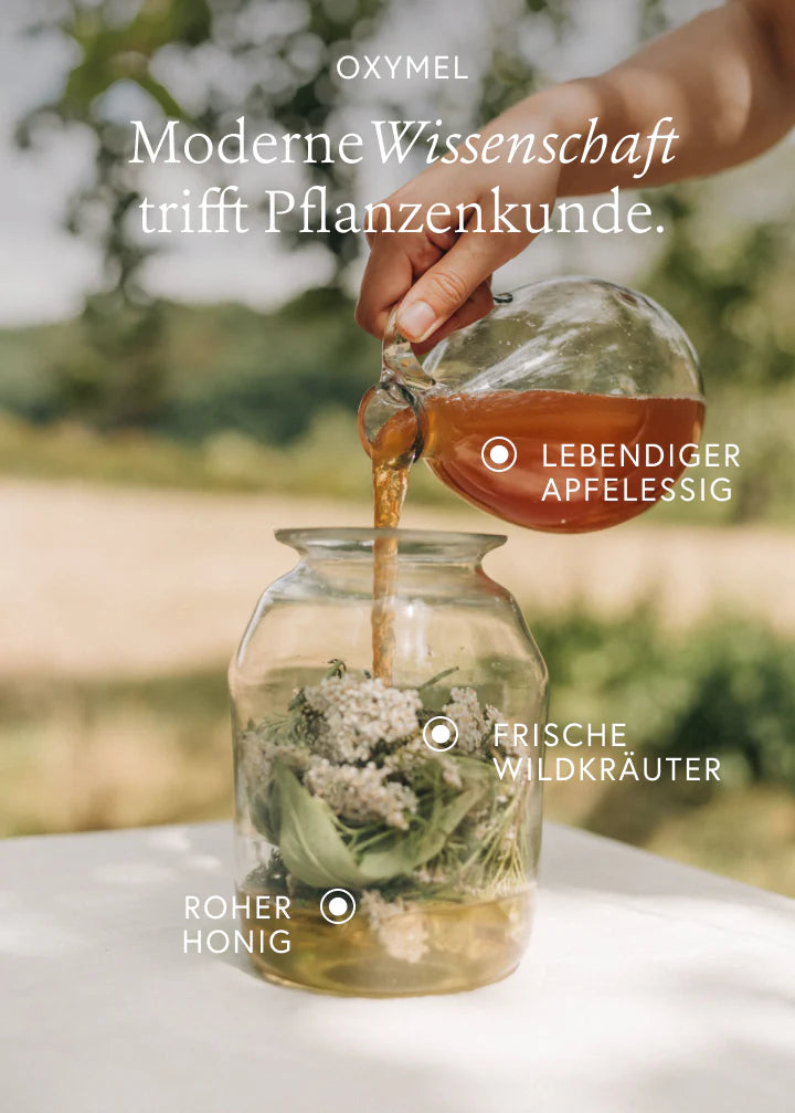 Wildkräuterauszug Balance