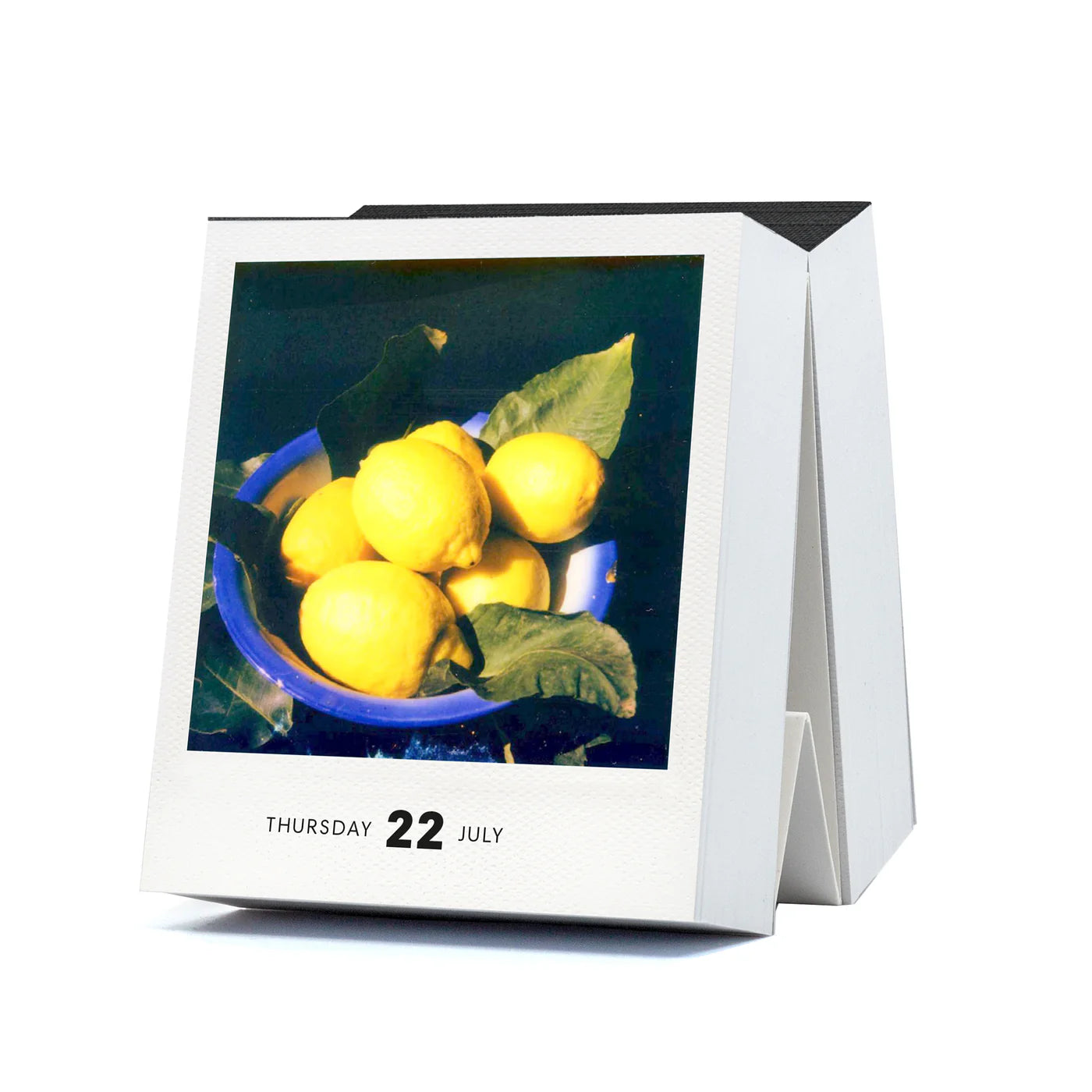 Photodarium- Polaroid-Tischkalender 2027