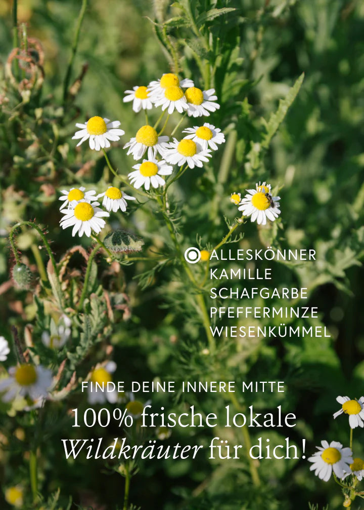 Wildkräuterauszug Balance