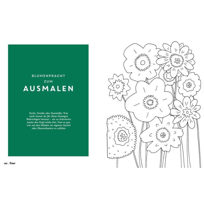 Flow Spezial Sommerbuch 2026