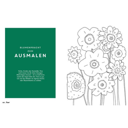 Flow Spezial Sommerbuch 2026