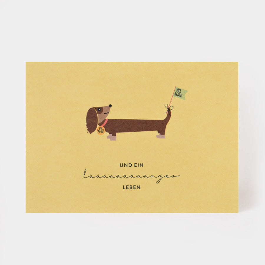 LAAAANGES LEBEN (DACKEL) Postkarte