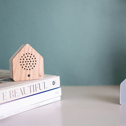 Satellitebox Wind Chimes