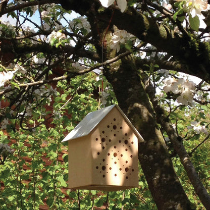 Bienenhotel Bee&