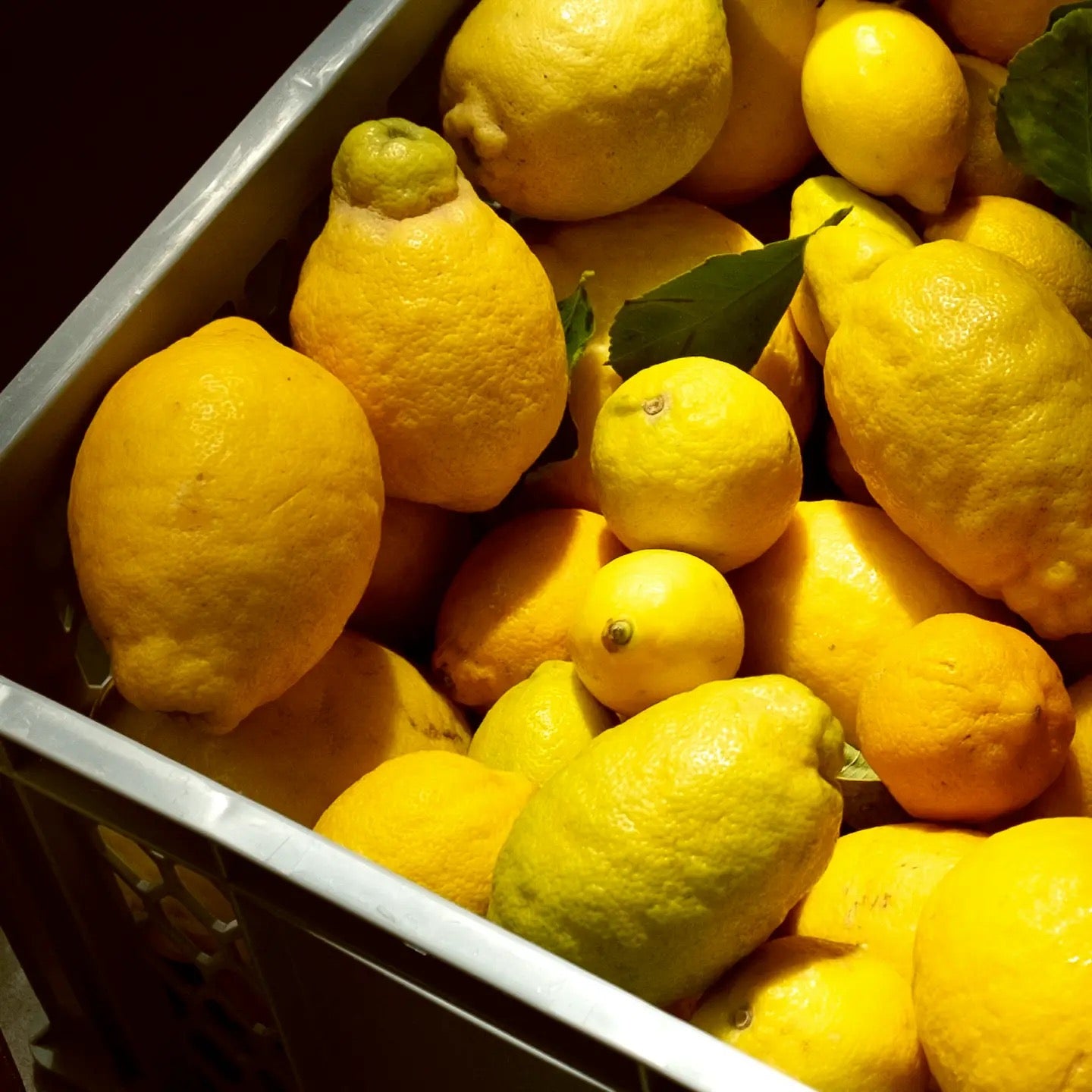 ODE – Bright Lemon