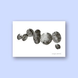 Vorwiegend festkochend