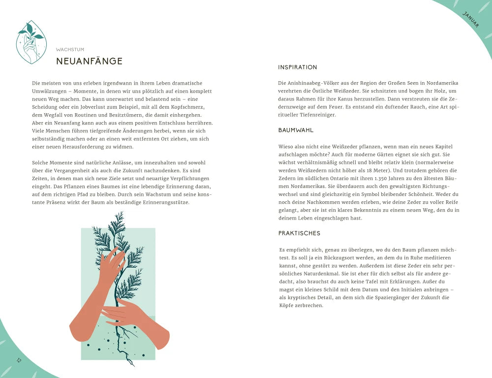 Buch - Mein Jahr mit der Natur Der große Guide für mehr Naturverbundenheit, Achtsamkeit und innere Balance