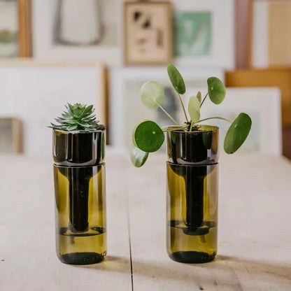 Pflanzgefäß selbstbewässernd - self watering bottle