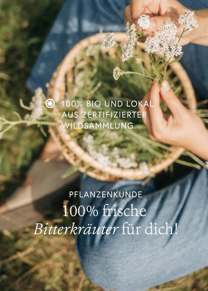 Wildkräuterauszug Bitter