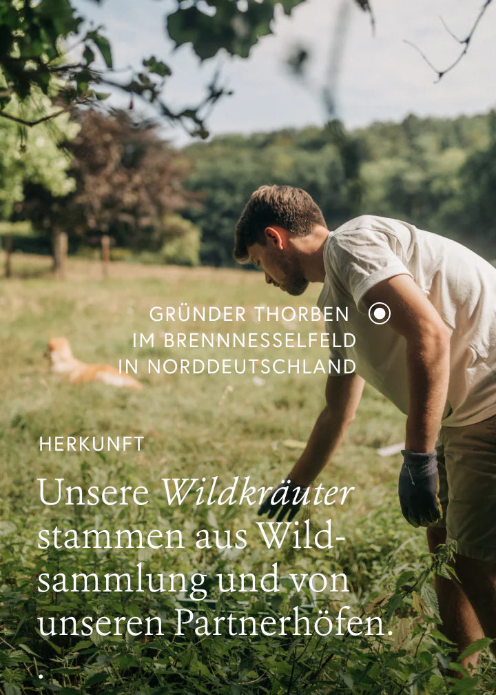 Wildkräuterauszug Bitter