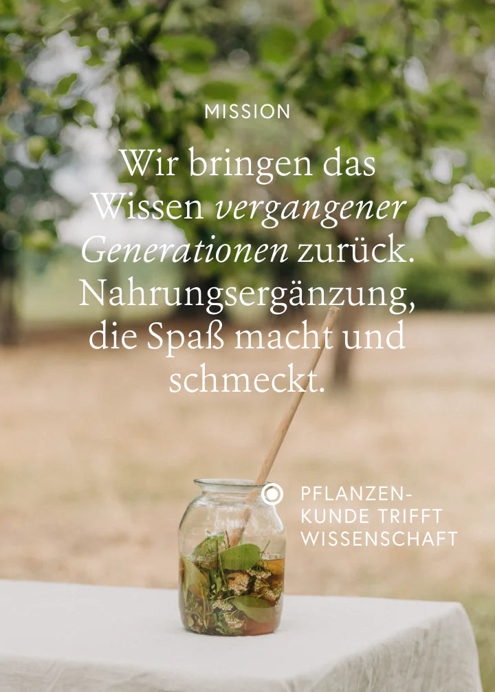 Wildkräuterauszug Bitter