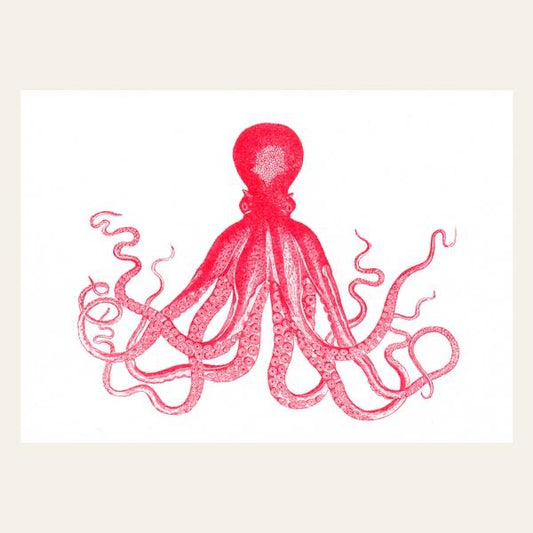 Oktopus Postkarte