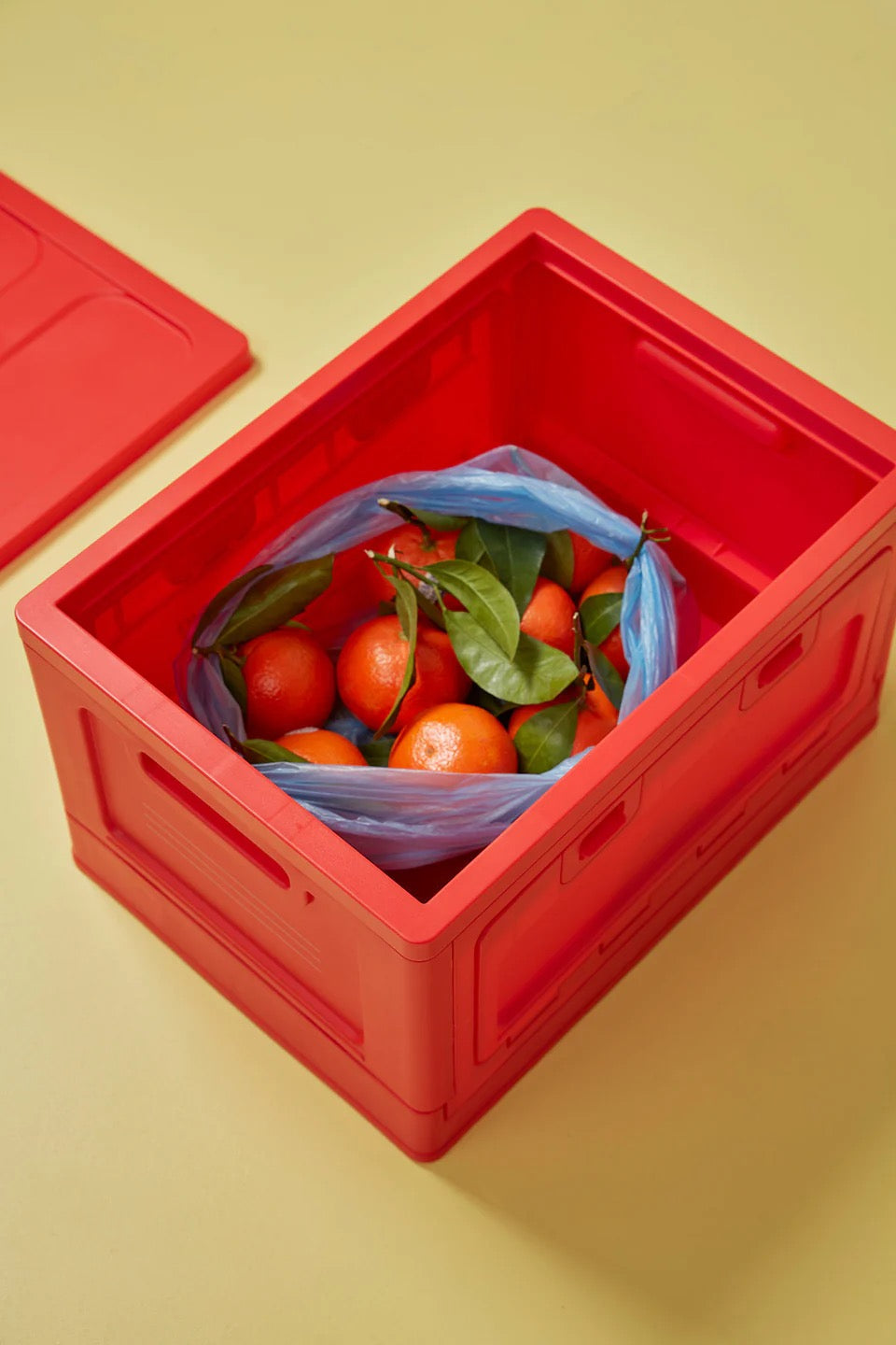 BOX, MITTEL, ROT