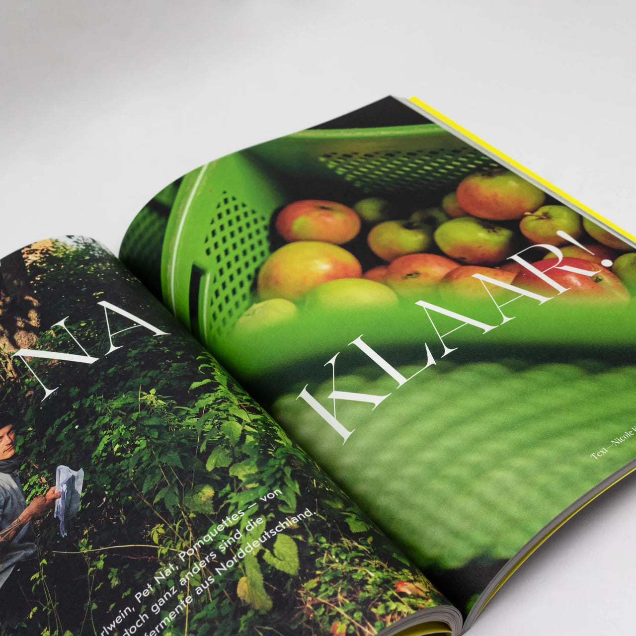 "THE WEEKENDER" Nº 40