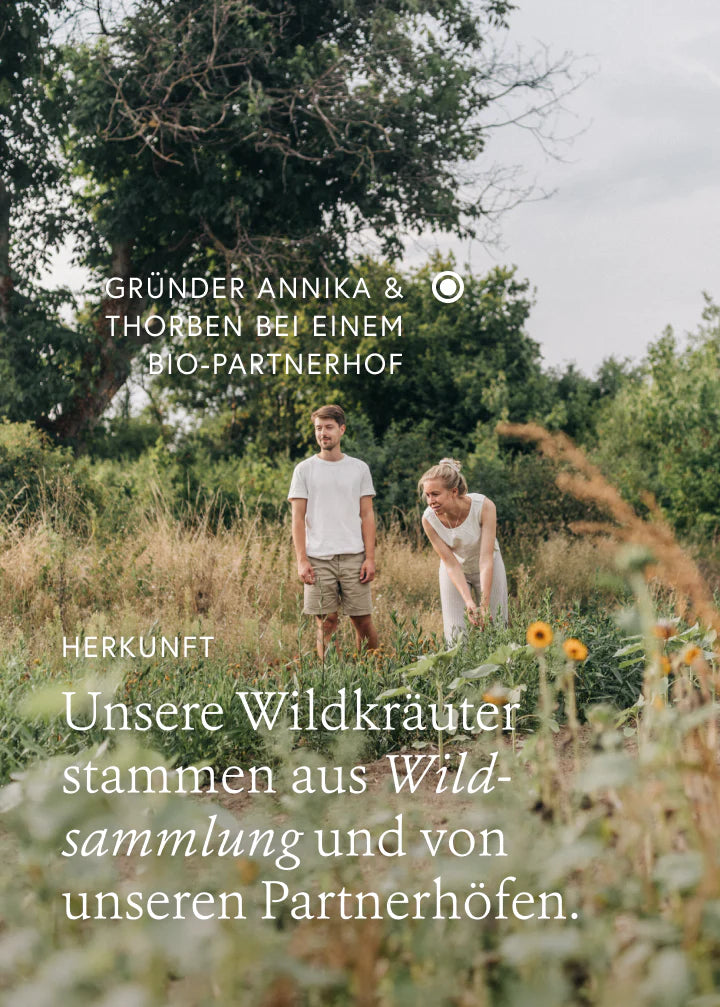 Wildkräuterauszug Balance