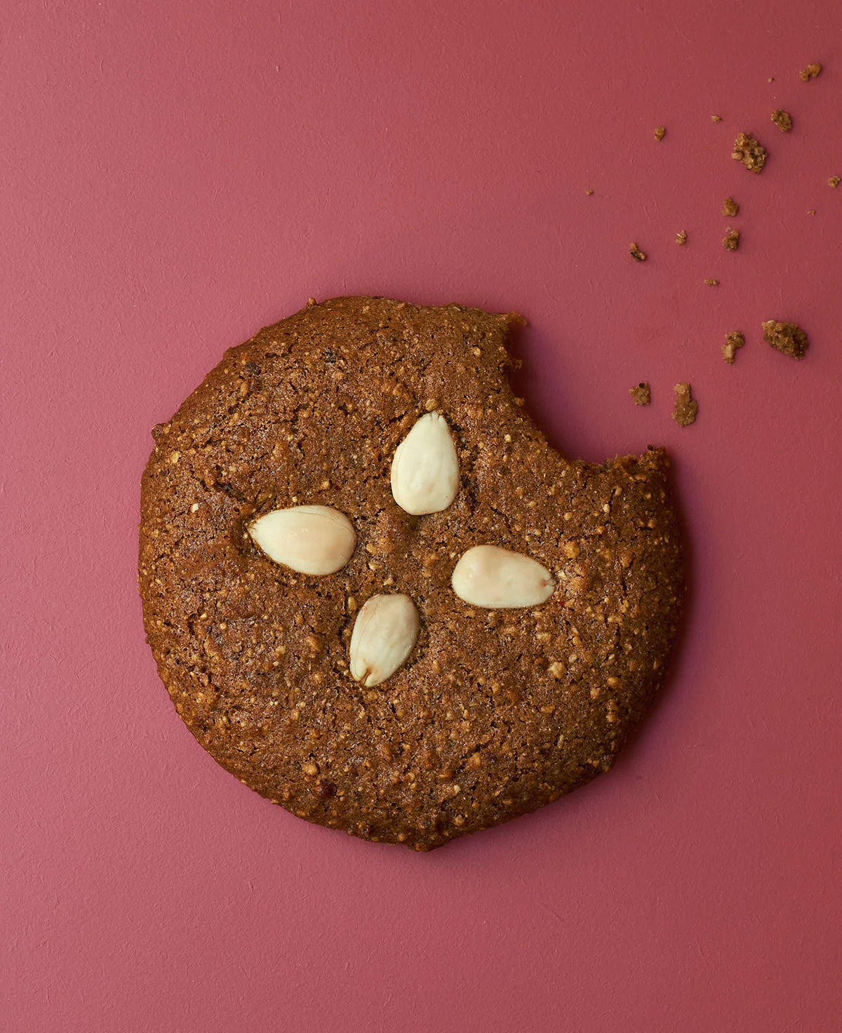 Lebkuchendose – 5 BIO-Elisenlebkuchen
